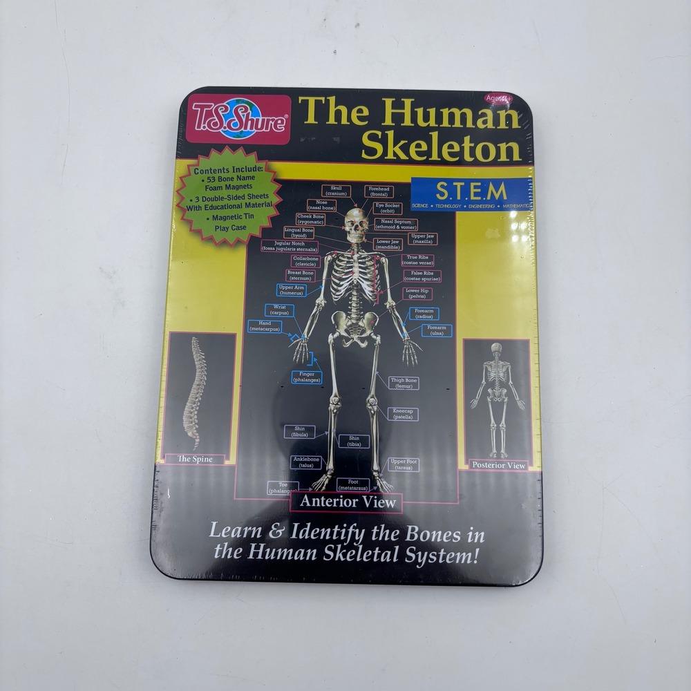 T&S Shure The Human Skeleton STEM Magnetic Tin Learn Identify Bones - Picture 1 of 3